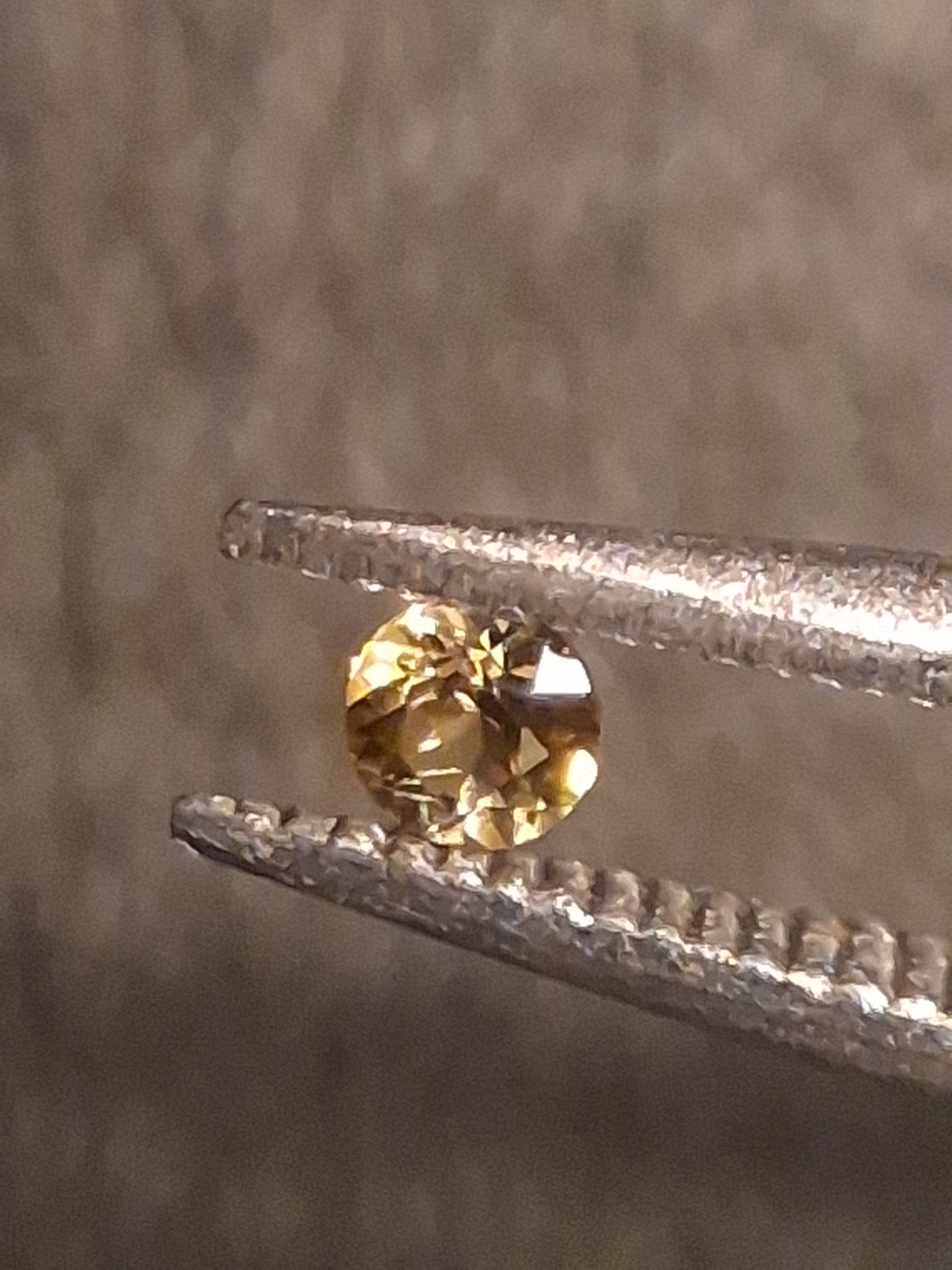 Natural Tourmaline - greenish brownish yellow - 2 mm - 0.031 ct - round - unheated - Natural Gems Belgium