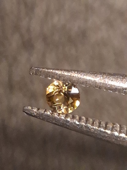 Natural Tourmaline - greenish brownish yellow - 2 mm - 0.031 ct - round - unheated - Natural Gems Belgium