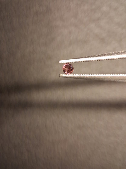 Natural Tourmaline - brownish pink - 2 mm - 0.030 ct - round - unheated - Natural Gems Belgium