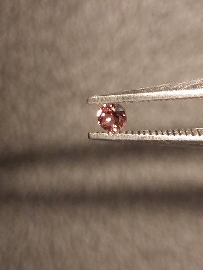 Natural Tourmaline - brownish pink - 2 mm - 0.030 ct - round - unheated - Natural Gems Belgium