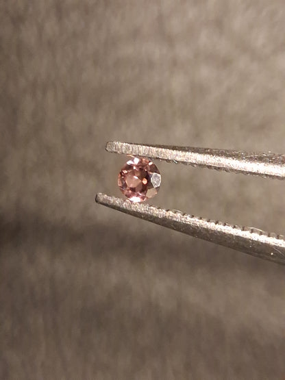 Natural Tourmaline - reddish brownish pink - 2 mm - 0.030 ct - round - unheated - Natural Gems Belgium