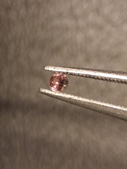Natural Tourmaline - reddish brownish pink - 2 mm - 0.030 ct - round - unheated - Natural Gems Belgium
