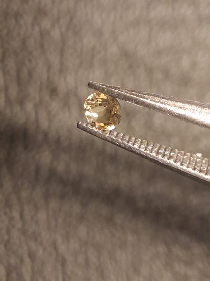 Natural Tourmaline - yellowish green - 2.4 mm - 0.065 ct - round - unheated - Natural Gems Belgium