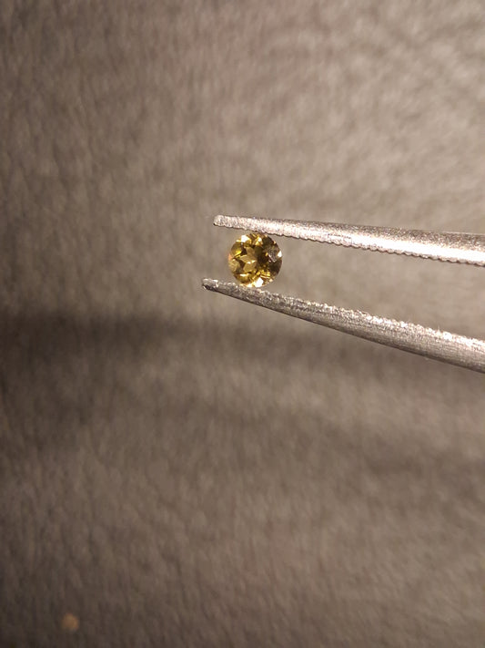 Natural Tourmaline - yellowish green - 2.4 mm - 0.063 ct - round - unheated - Natural Gems Belgium