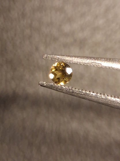 Natural Tourmaline - yellowish green - 2.4 mm - 0.063 ct - round - unheated - Natural Gems Belgium