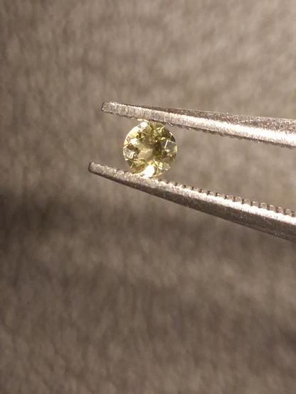 Natural Tourmaline - yellowish green - 2.4 mm - 0.058 ct - round - unheated - Natural Gems Belgium