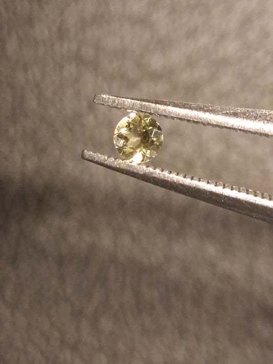 Natural Tourmaline - yellowish green - 2.4 mm - 0.058 ct - round - unheated - Natural Gems Belgium