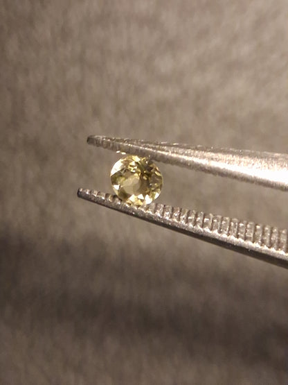 Natural Tourmaline - yellowish green - 2.4 mm - 0.058 ct - round - unheated - Natural Gems Belgium