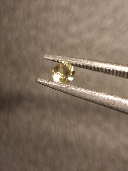 Natural Tourmaline - yellowish green - 2.4 mm - 0.058 ct - round - unheated - Natural Gems Belgium
