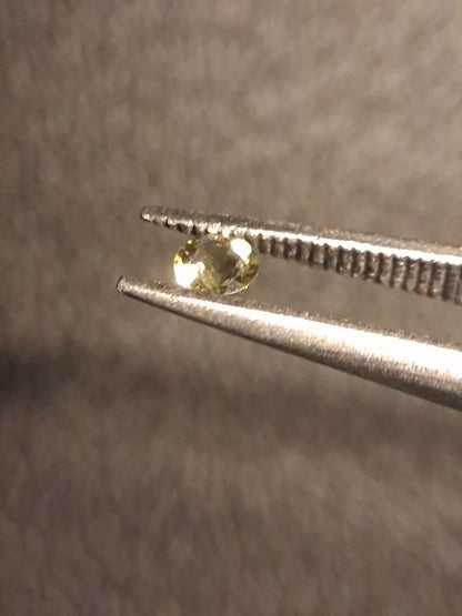 Natural Tourmaline - yellowish green - 2.4 mm - 0.058 ct - round - unheated - Natural Gems Belgium