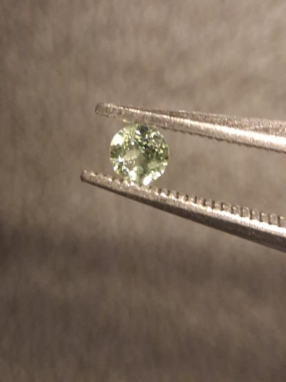 Natural Tourmaline - light green - 2.4 mm - 0.060 ct - round - unheated - Natural Gems Belgium