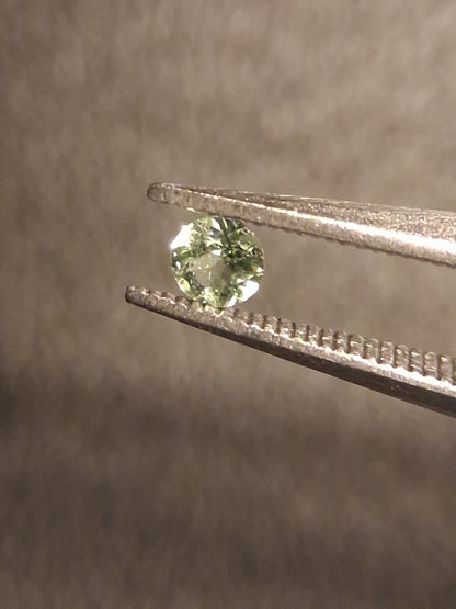 Natural Tourmaline - light green - 2.4 mm - 0.060 ct - round - unheated - Natural Gems Belgium