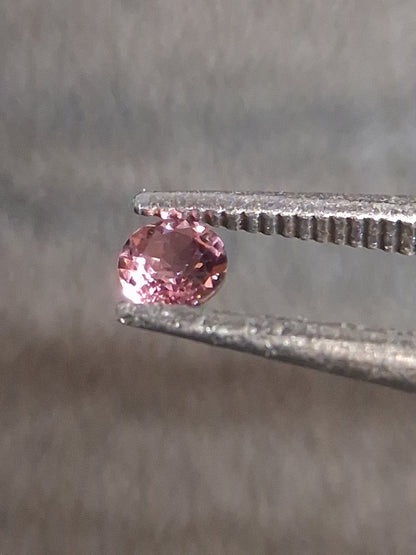 Natural Light Pink Tourmaline – Round Brilliant Faceted 0.057 Ct – Premium Loose Gemstone - Natural Gems Belgium