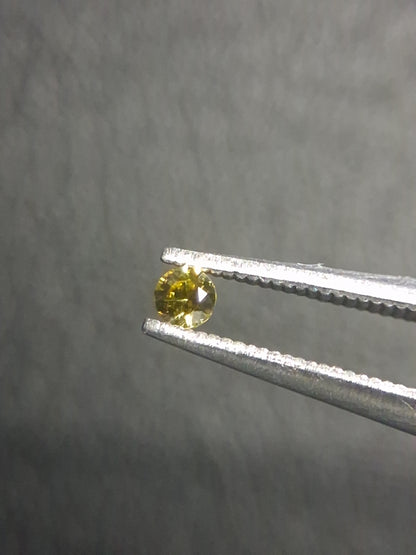 Natural Yellow Sapphire - 0.040 ct -2 mm Round cut - heated - Africa - Natural Gems Belgium