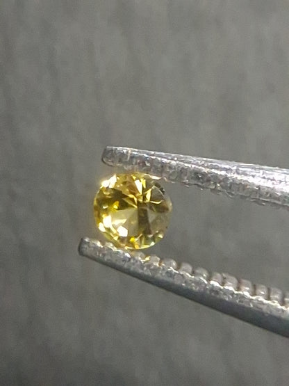 Natural Yellow Sapphire - 0.040 ct -2 mm Round cut - heated - Africa - Natural Gems Belgium