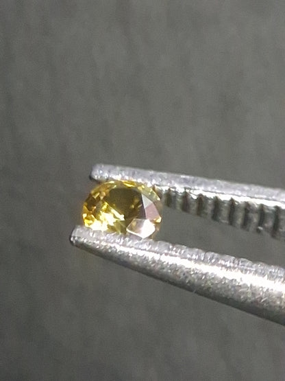Natural Yellow Sapphire - 0.040 ct -2 mm Round cut - heated - Africa - Natural Gems Belgium