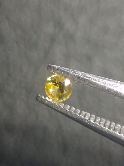 Natural Yellow Sapphire - 0.037 ct -2 mm Round cut - heated - Africa - Natural Gems Belgium