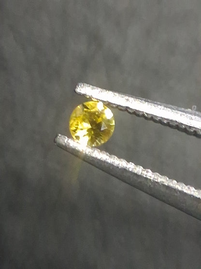 Natural Yellow Sapphire - 0.037 ct -2 mm Round cut - heated - Africa - Natural Gems Belgium