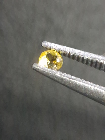 Natural Yellow Sapphire - 0.037 ct -2 mm Round cut - heated - Africa - Natural Gems Belgium