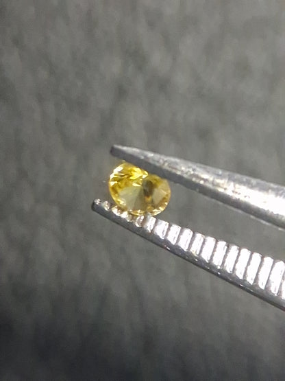 Natural Yellow Sapphire - 0.037 ct -2 mm Round cut - heated - Africa - Natural Gems Belgium