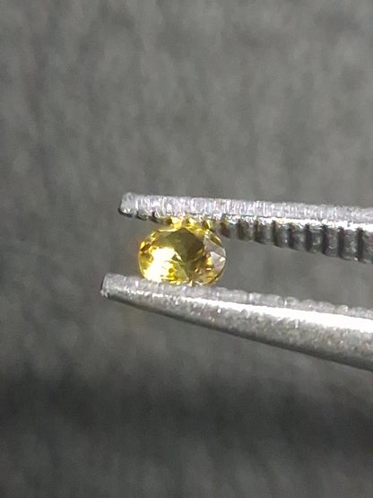 Natural Yellow Sapphire - 0.034 ct -2 mm Round cut - heated - Africa - Natural Gems Belgium