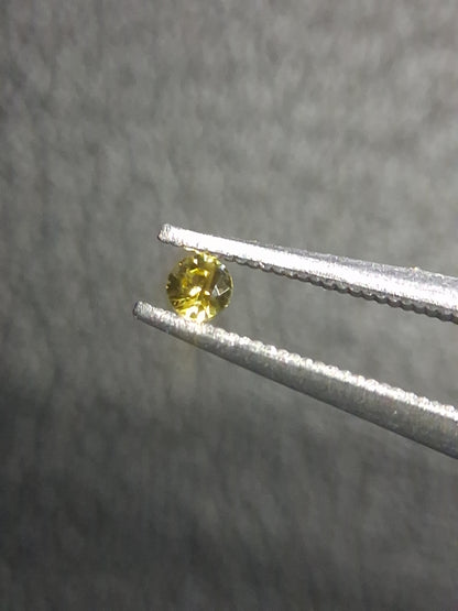 Natural Yellow Sapphire - 0.048 ct -2 mm Round cut - heated - Africa - Natural Gems Belgium