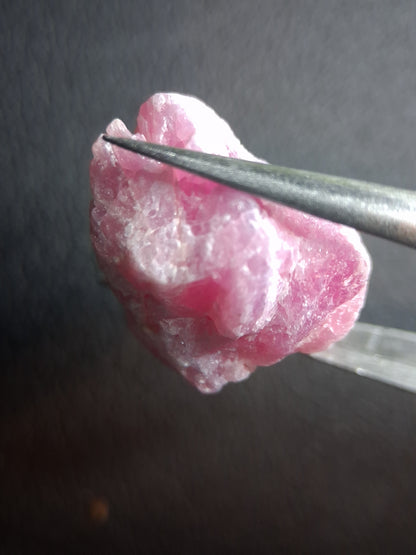 Natural Rough Ruby - 26.005 ct - natural ruby - heated