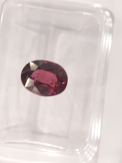 Certified Natural Rhodolite Garnet - 1.58 ct - oval cut - Tanzania - Sealed All Garnet Gemstones Natural Gems Belgium