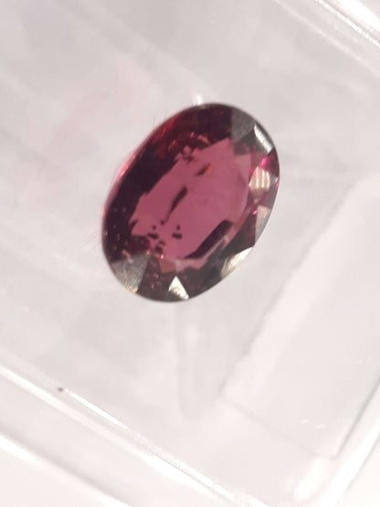 Certified Natural Rhodolite Garnet - 1.58 ct - oval cut - Tanzania - Sealed All Garnet Gemstones Natural Gems Belgium