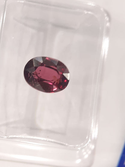 Certified Natural Rhodolite Garnet - 1.58 ct - oval cut - Tanzania - Sealed All Garnet Gemstones Natural Gems Belgium