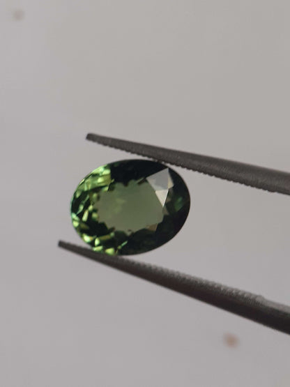 Natural Green Tourmaline - 1.639 ct - oval - clean - very good luster - unheated verdelite All Tourmaline Gemstones - Faceted Tourmaline Natural Gems Belgium