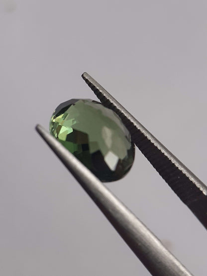 Natural Green Tourmaline - 1.639 ct - oval - clean - very good luster - unheated verdelite All Tourmaline Gemstones - Faceted Tourmaline Natural Gems Belgium