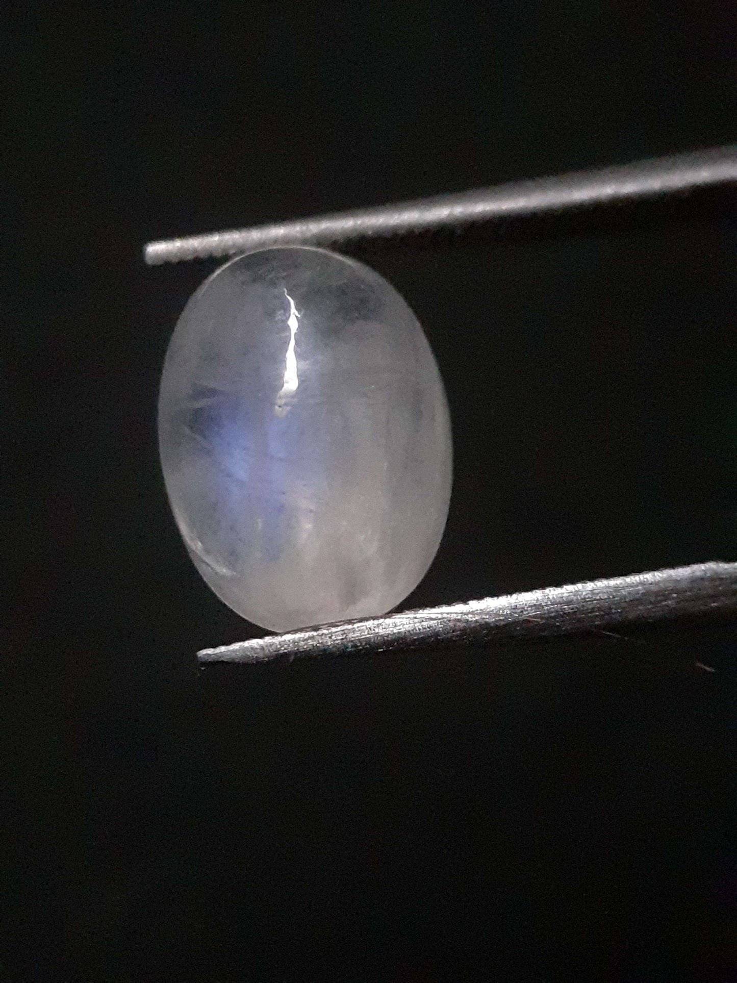 Natural Gems Belgium - All Moonstone Gemstones - Natural Moonstone - faint blue adularescence - 3.220 ct - oval cabochon *** € 6.33