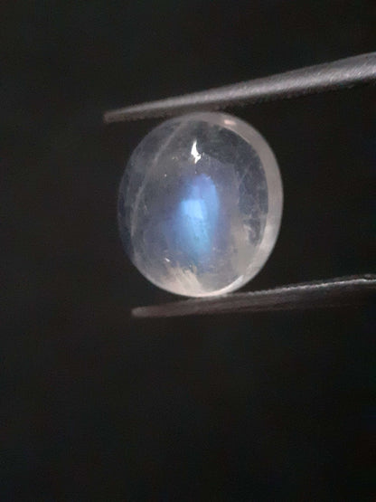 Natural Moonstone - faint blue adularescence - 3.518 ct - oval cabochon All Moonstone Gemstones Natural Gems Belgium