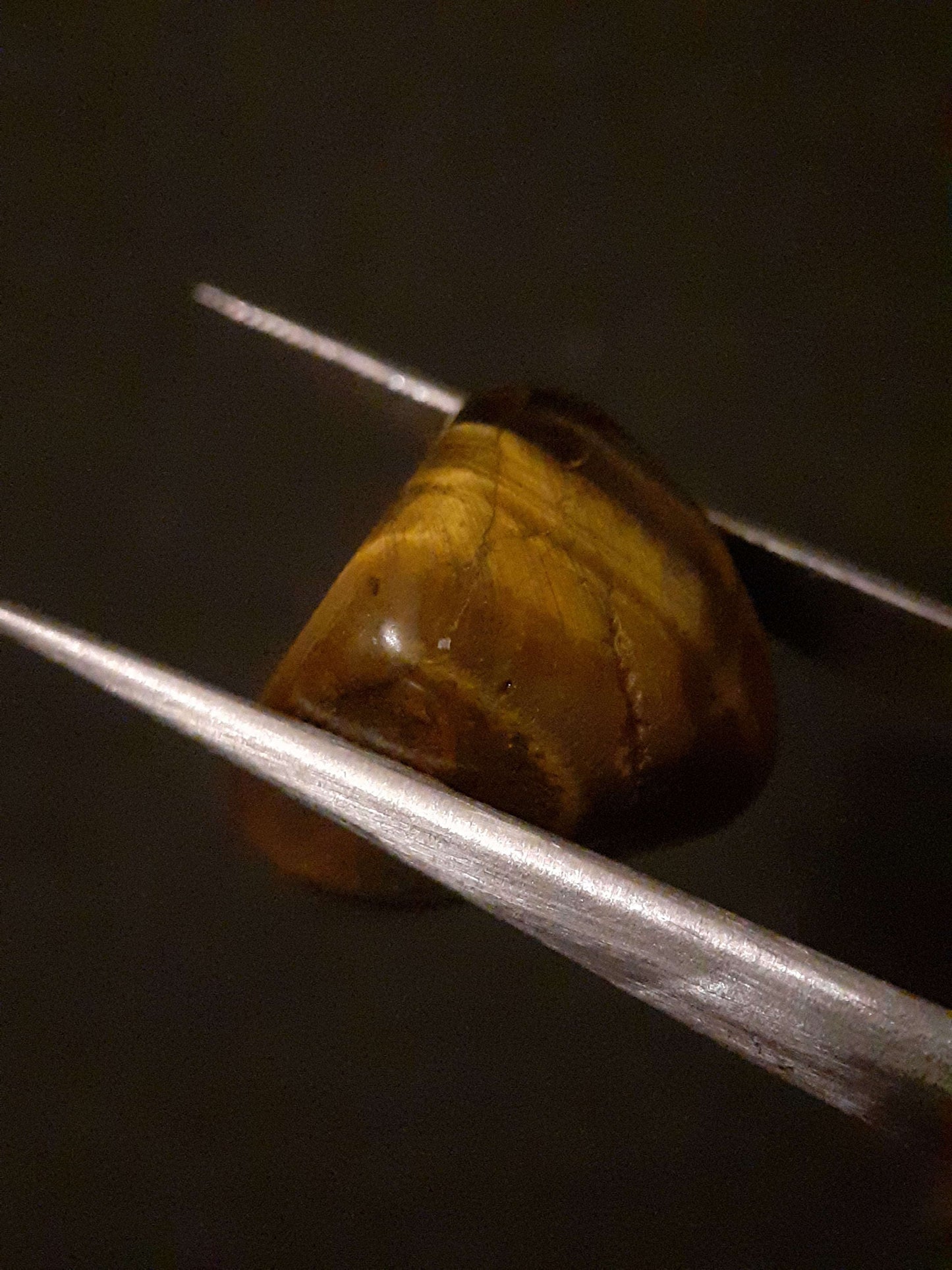 Natural Tiger's eye - 15.735 ct - tumbled Tiger's eye stone All Tiger's eye Gestones - Tiger's eye Tumbled stones Natural Gems Belgium