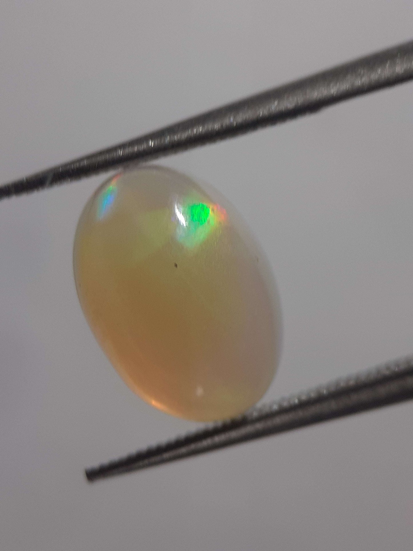 Natural White Opal - play of color - 1.71 ct - oval - unheated - certified by NGB All Opal Gemstones Natural Gems Belgium