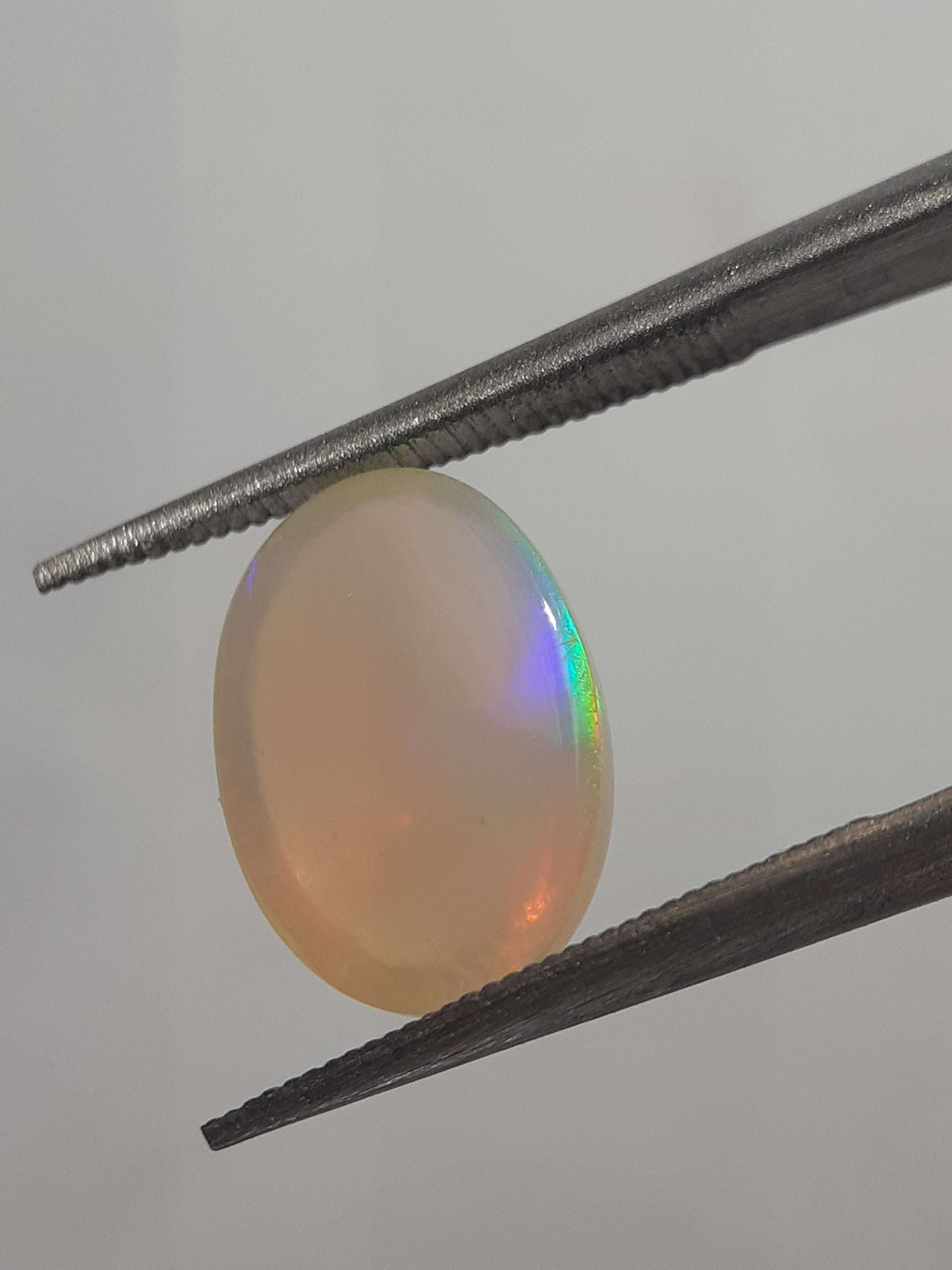 Natural White Opal - play of color - 1.71 ct - oval - unheated - certified by NGB All Opal Gemstones Natural Gems Belgium