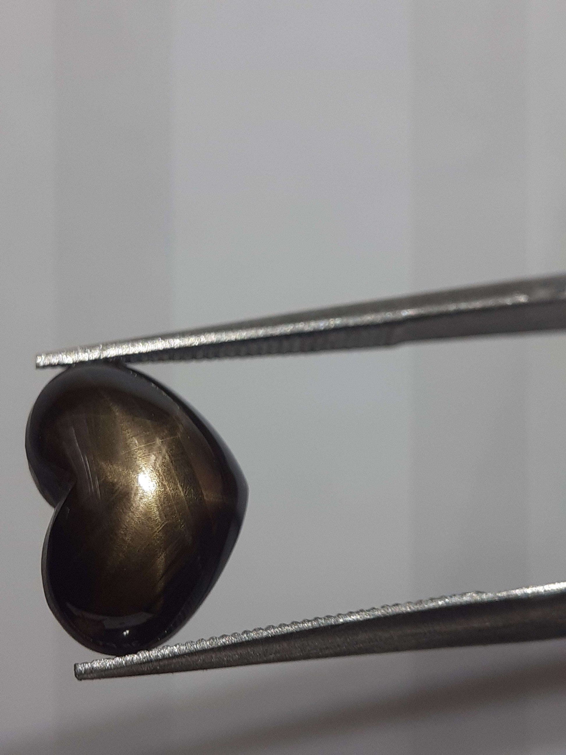 Natural black sapphire - 6 ray star - 3.90 ct - heart - unheated - certified by NGB All Sapphire Gemstones - Sapphire Cabochons Natural Gems Belgium