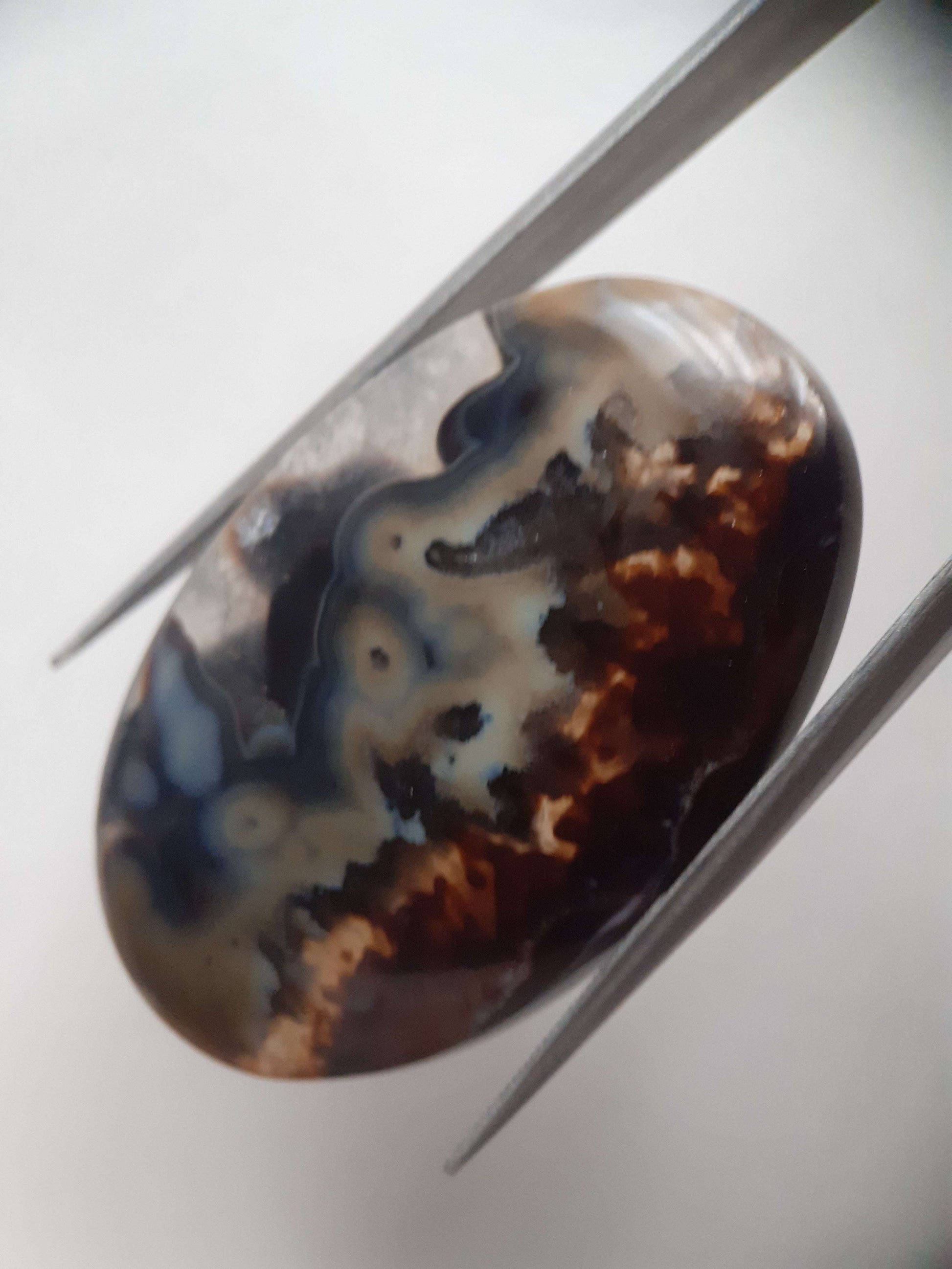 Natural blue and brown Agate - 45.244 ct - oval - rare sumatra palm root agate All Agate Gemstones - Agate Cabochons Natural Gems Belgium