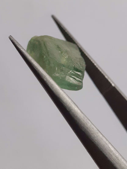 Natural green Apatite - 3.644 ct - Rough Gemstone All Apatite Gemstones - Rough Apatite Natural Gems Belgium