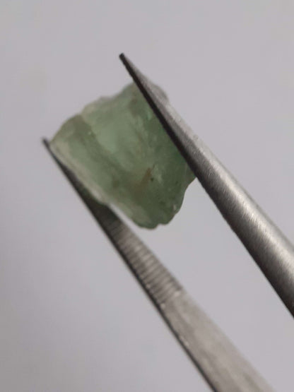 Natural green Apatite - 3.691 ct - Rough Gemstone All Apatite Gemstones - Rough Apatite Natural Gems Belgium