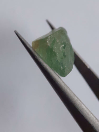 Natural green Apatite - 5.550 ct - Rough Gemstone for faceting All Apatite Gemstones - Rough Apatite Natural Gems Belgium