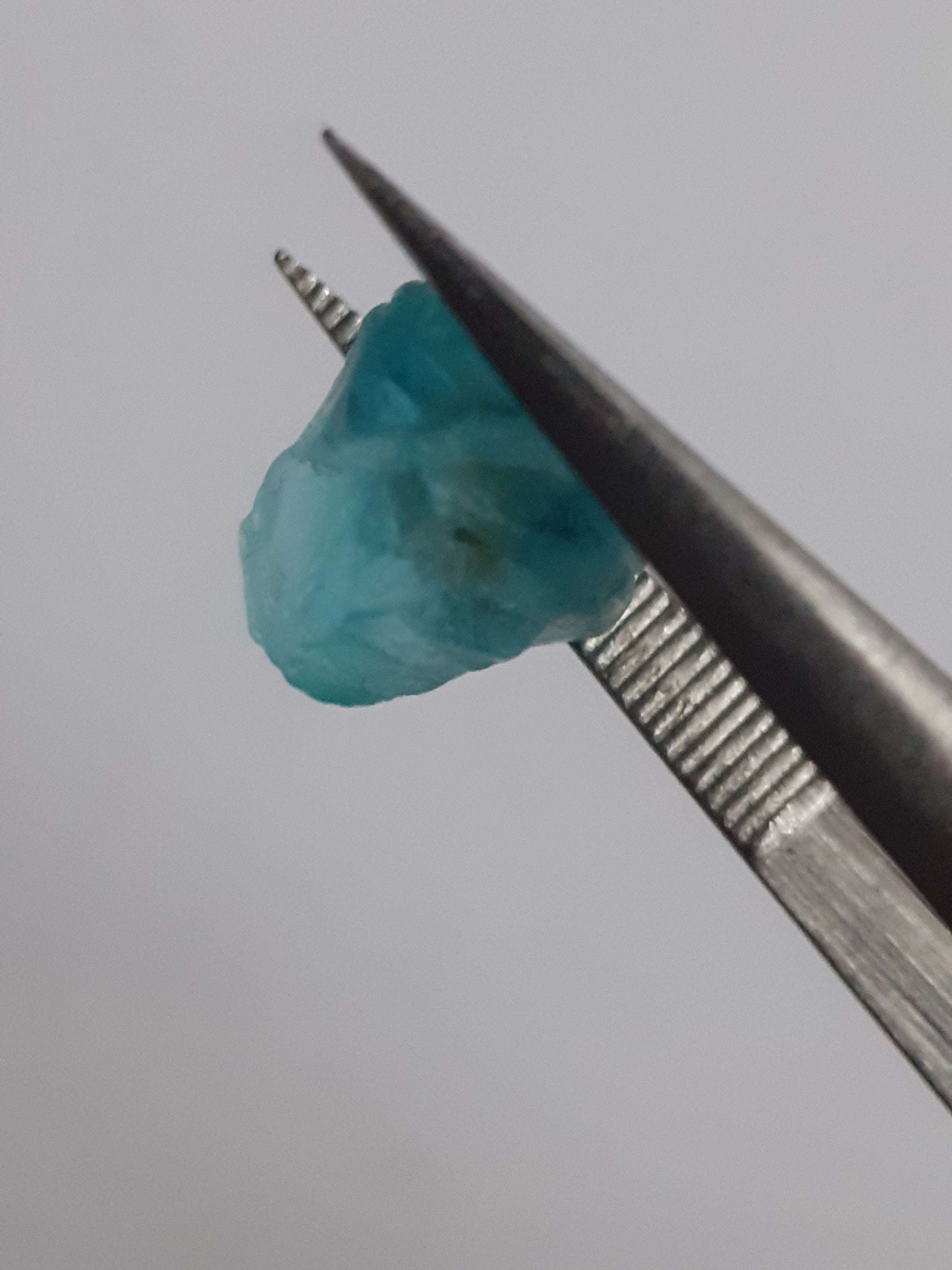 Natural ocean blue Apatite - 2.235 ct - Rough Gemstone All Apatite Gemstones - Rough Apatite Natural Gems Belgium