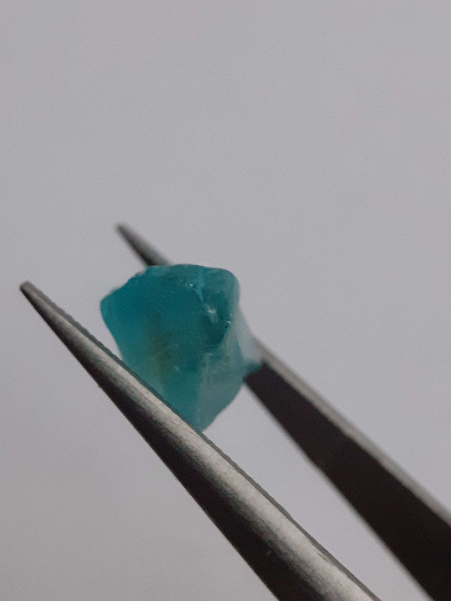 Natural ocean blue Apatite - 2.235 ct - Rough Gemstone All Apatite Gemstones - Rough Apatite Natural Gems Belgium