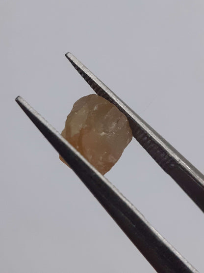 Natural orangey brown Apatite - 1.711 ct - Rough Gemstone for faceting All Apatite Gemstones - Rough Apatite Natural Gems Belgium