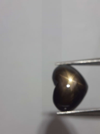 Natural black sapphire - 6 ray star - 3.90 ct - heart - unheated - certified by NGB