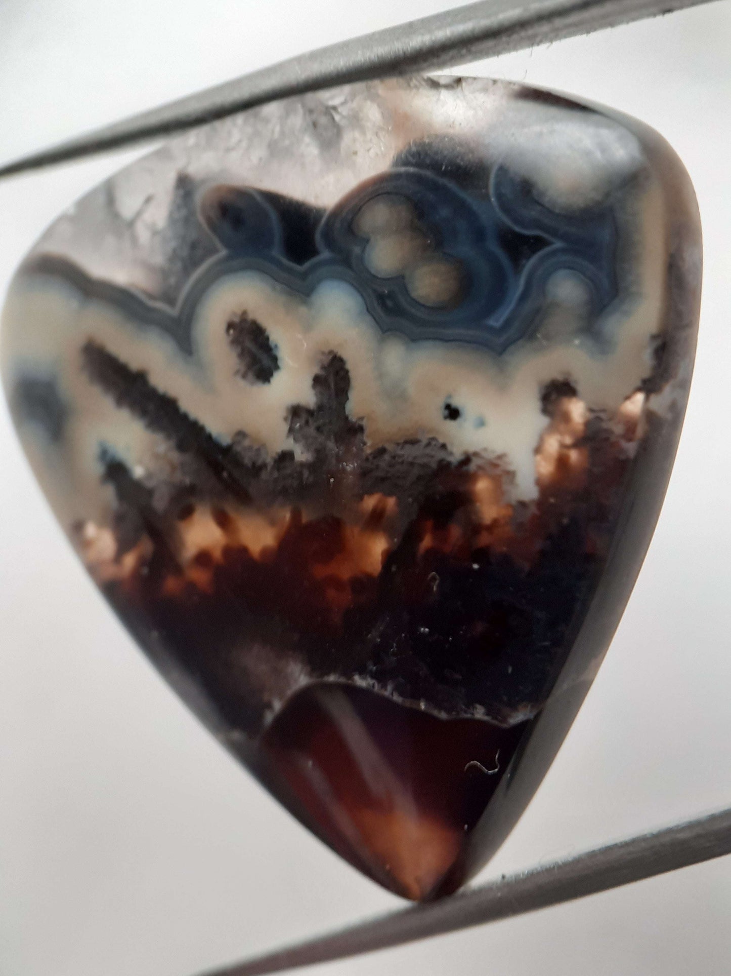 Natural blue and brown Agate - 37.078 ct - pear - rare sumatra palm root agate