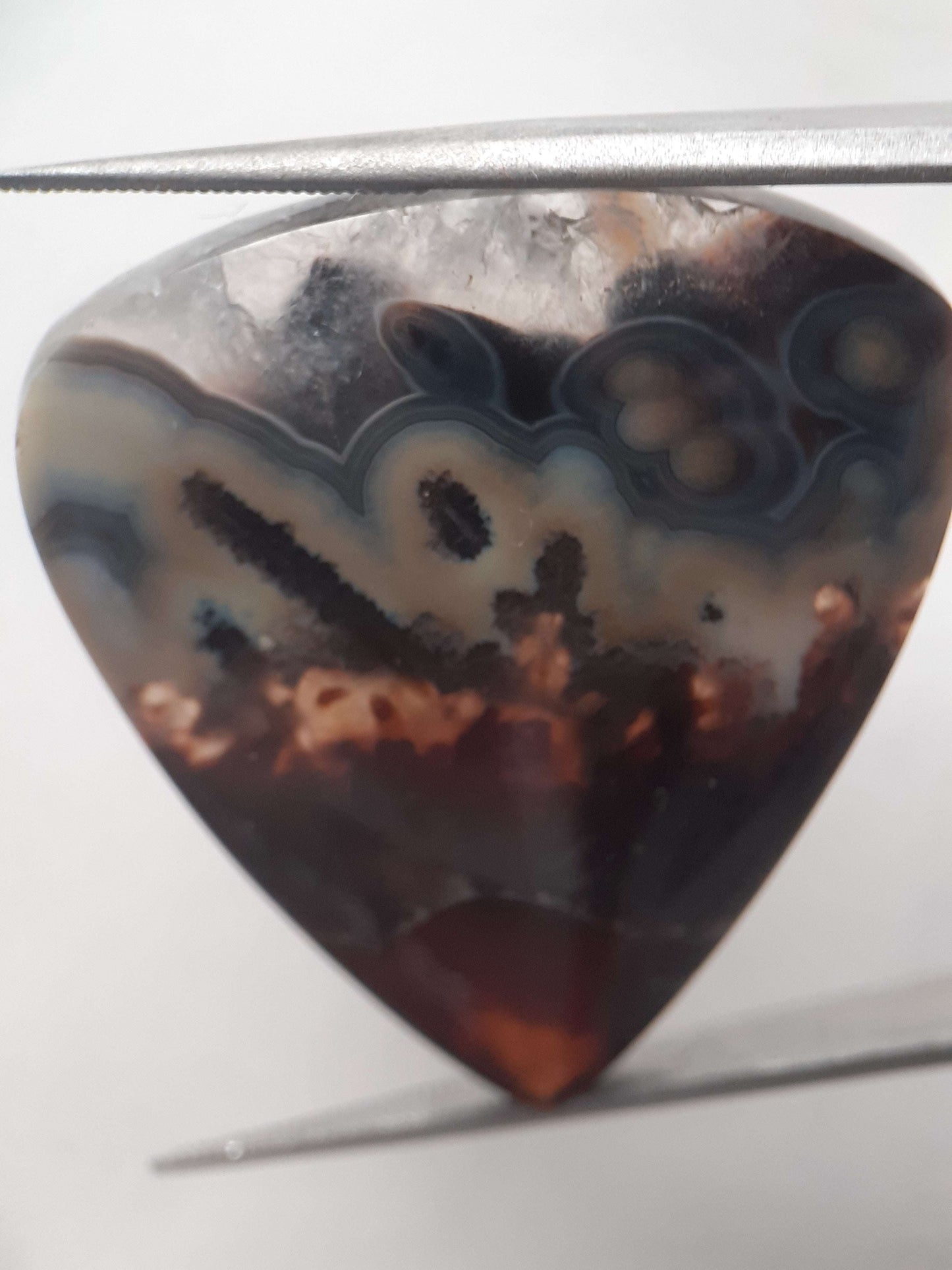 Natural blue and brown Agate - 37.078 ct - pear - rare sumatra palm root agate