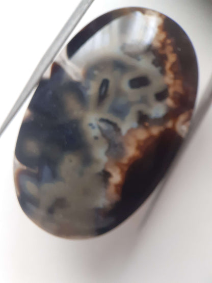 Natural blue and brown Agate - 41.153 ct - oval - rare sumatra palm root agate