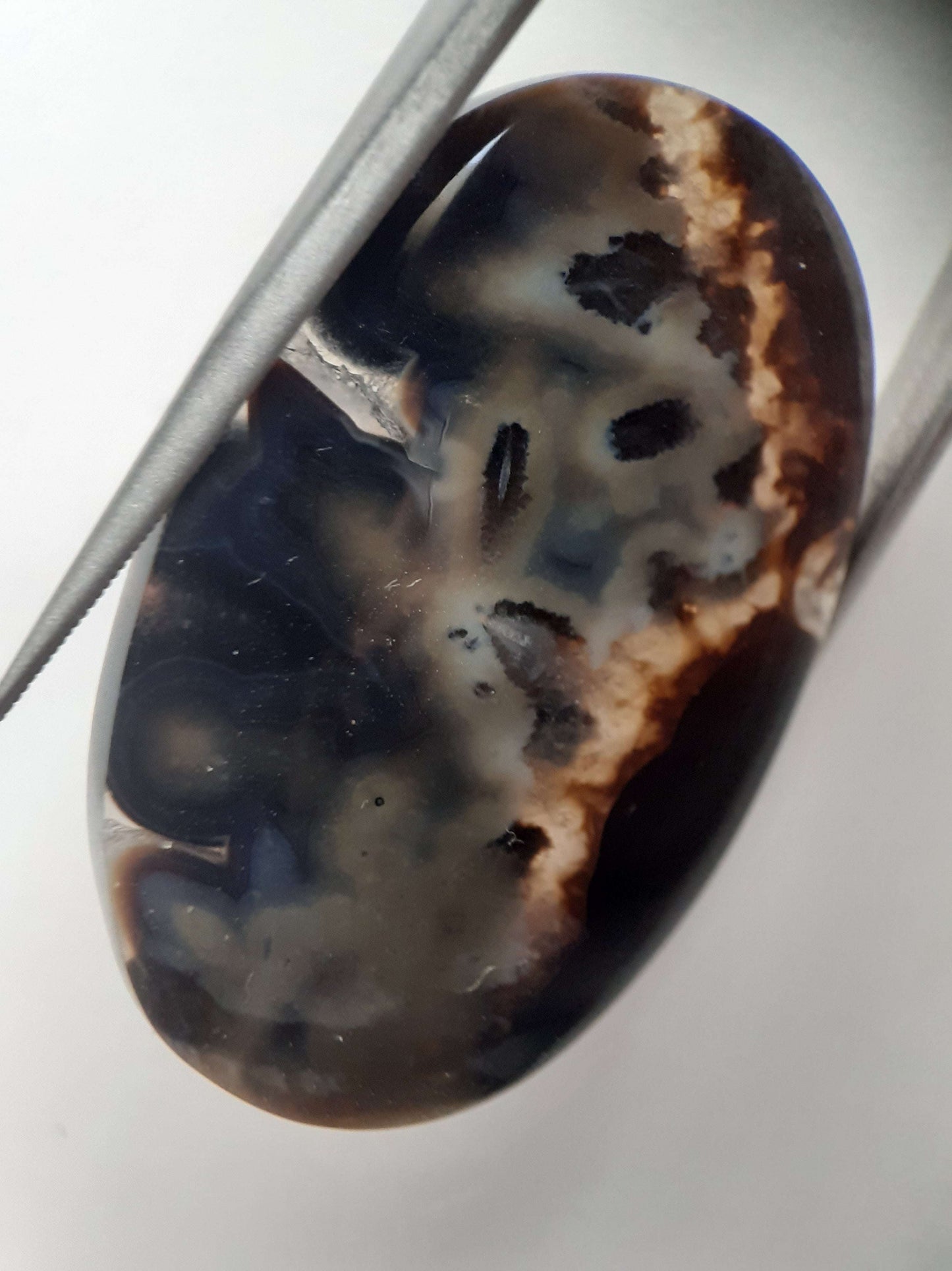 Natural blue and brown Agate - 41.153 ct - oval - rare sumatra palm root agate